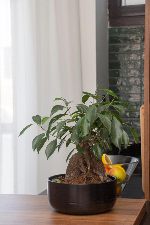 Artisan'S Dwelling Apartamento Belgrado Exterior foto
